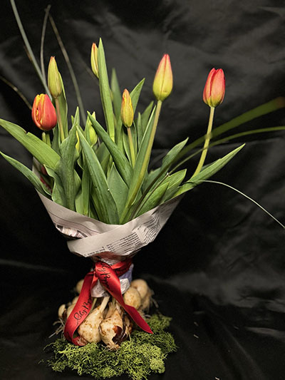 Image 3
